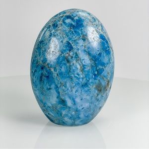 Blue Appetite Free Form Display Piece